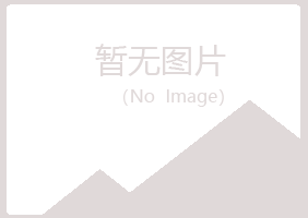 恩施初夏采矿有限公司